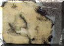 matting