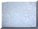 .015 silver flake